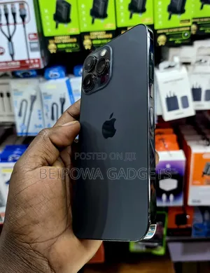 Apple iPhone 13 Pro Max 256 GB Gray