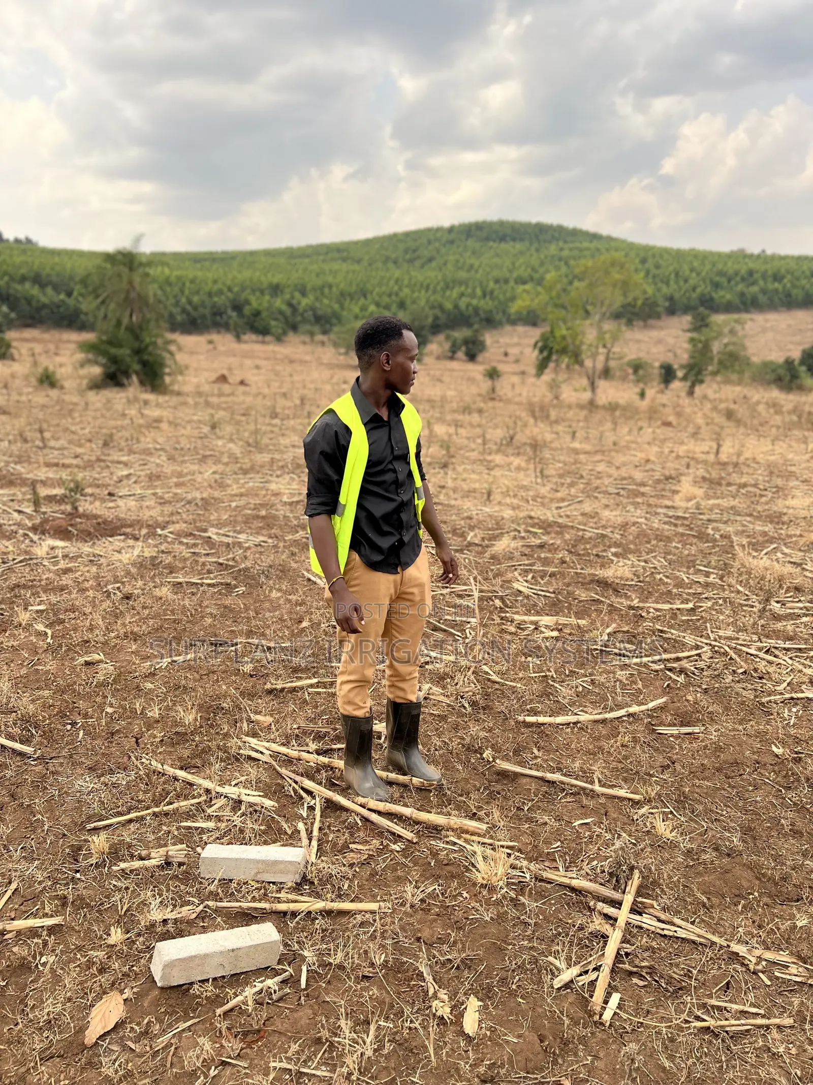 Land Surveying Services