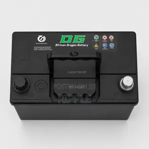 40Ah DG African Dragon N40 Maintenance Free Car Battery 12V