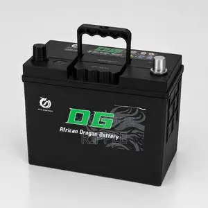 40Ah DG African Dragon N40 Maintenance Free Car Battery 12V
