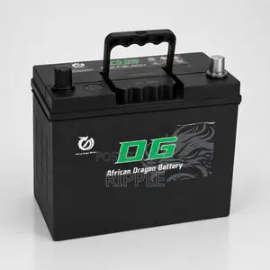 40Ah DG African Dragon N40 Maintenance Free Car Battery 12V