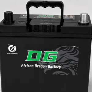 40Ah DG African Dragon N40 Maintenance Free Car Battery 12V