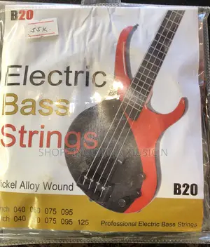 Electric Bass Guitar Strings
