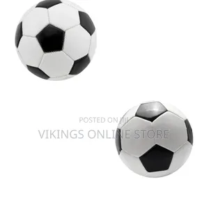 A Classic Black-and-White Panel Soccer Ball