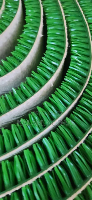 Zuuzuu Green Carpets