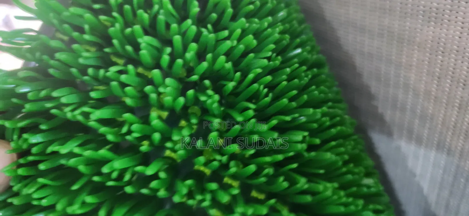 Zuuzuu Green Carpets