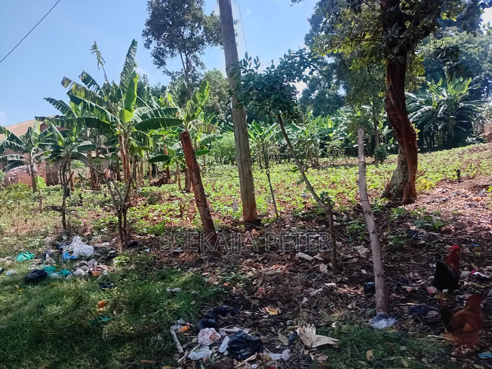 Plot for Sale