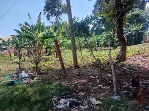 Plot for Sale