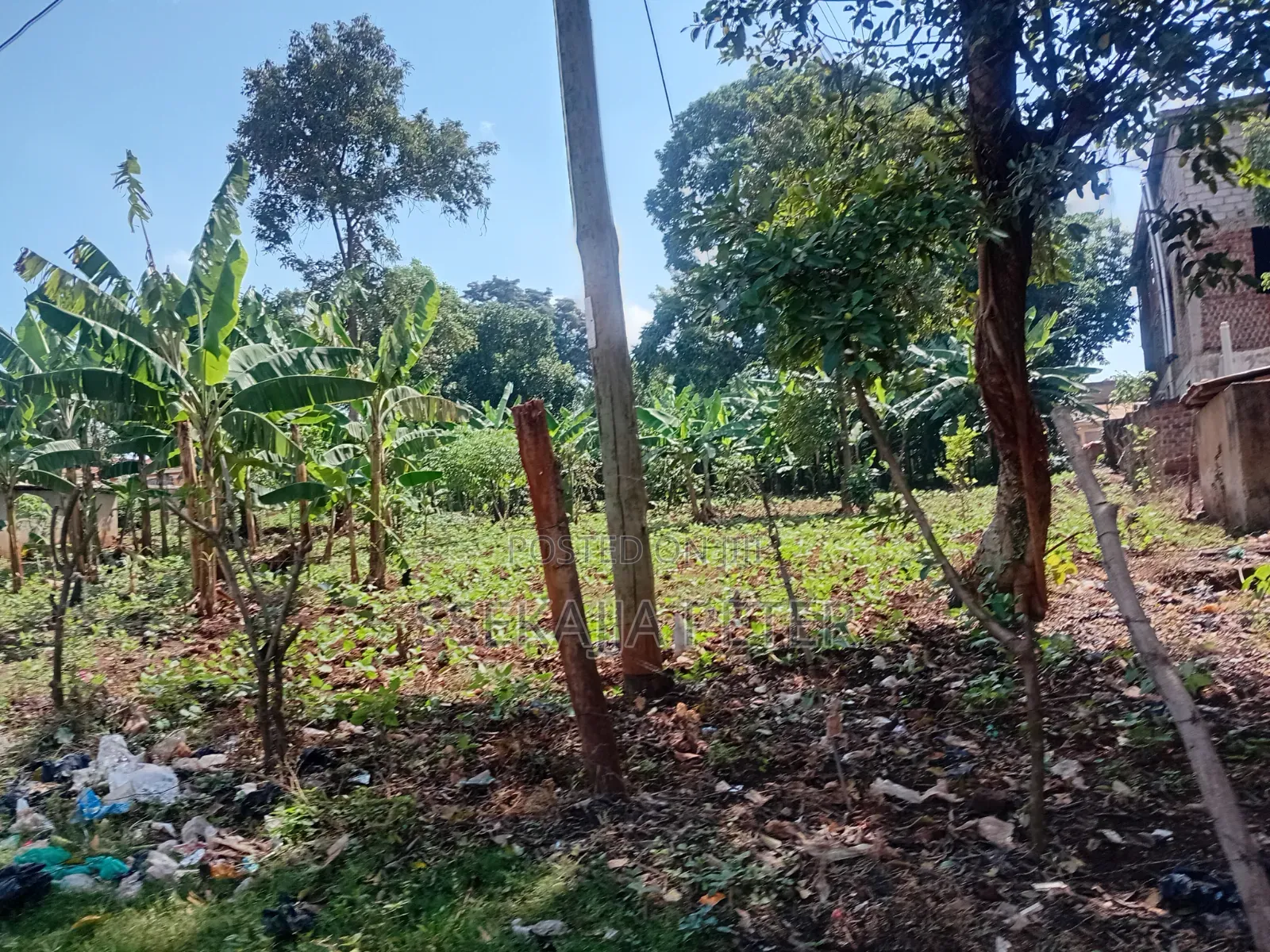 Plot for Sale