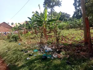 Plot for Sale