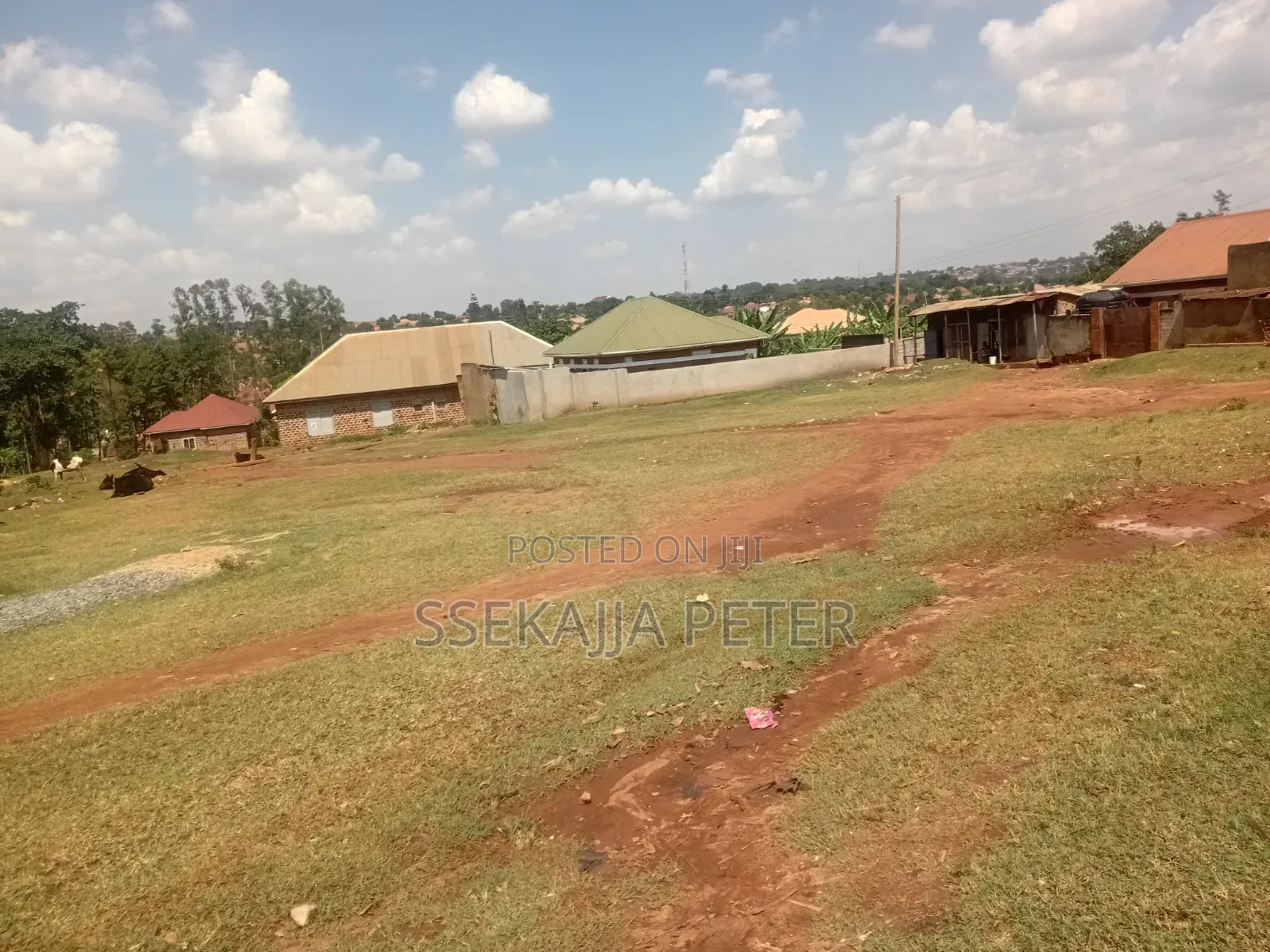 Plot for Sale
