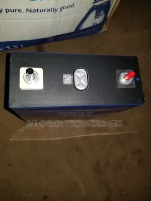 LiFePO4 Lithium Battery Cell