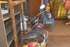 Bajaj Boxer 100 2024 Red