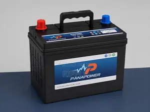 45Ah Panapower NS60MF Maintenance Free Car Battery 12V