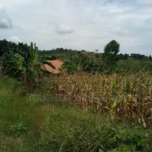 Plot for Sale