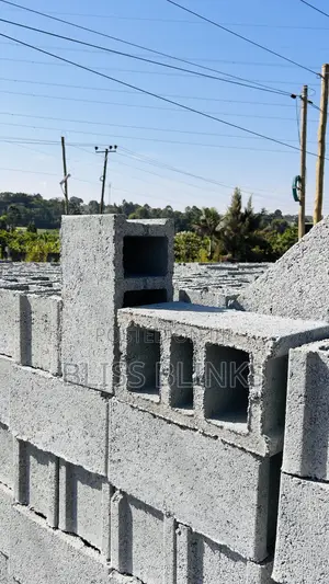 8inch Hollow Blocks