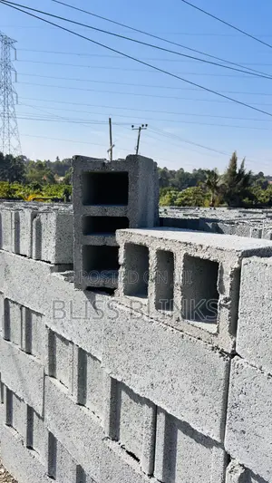 8inch Hollow Blocks