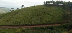 2 Acres of Land for Sale in Mbarara City