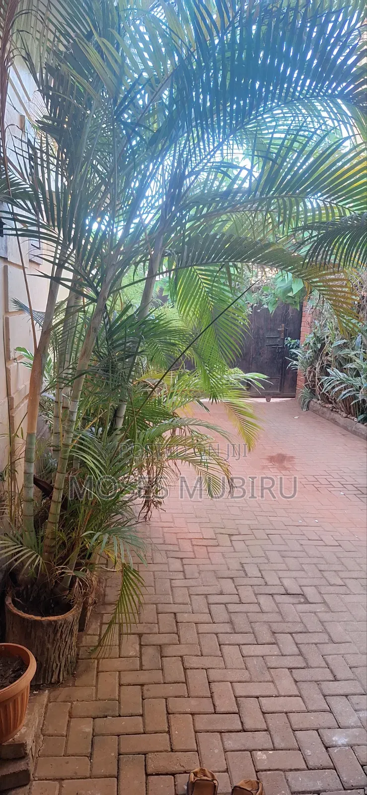 1bdrm House in Makindye for rent