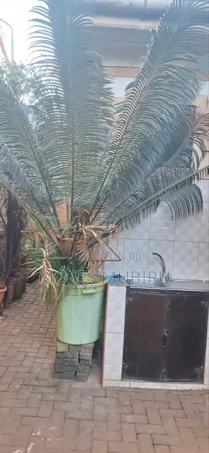 1bdrm House in Makindye for rent