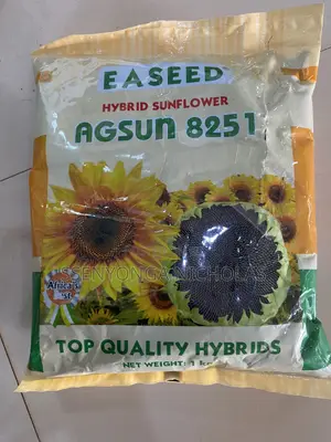 Sun Flower Seeds AGSUN -1kg