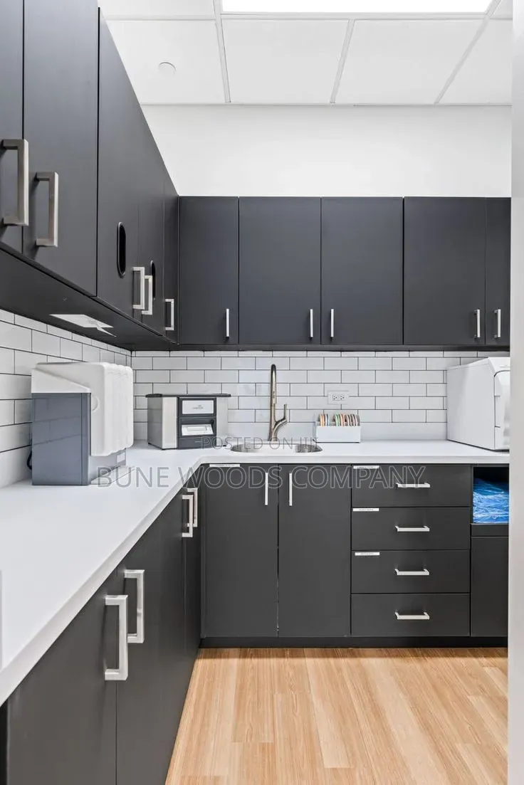 Kitchen Cabinets