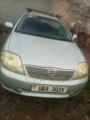 Toyota Corolla Fielder 2004 Silver