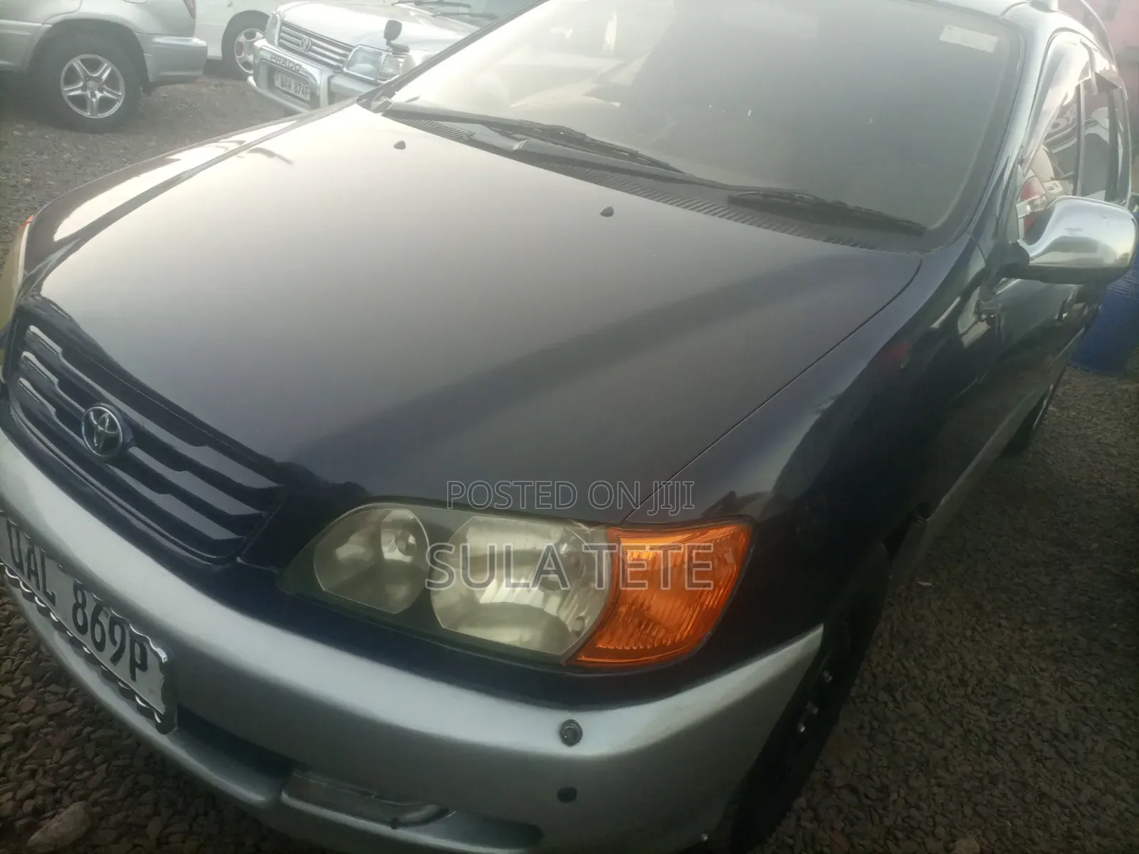 Toyota Ipsum 1999 Blue