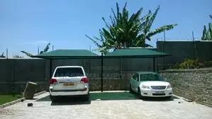 2 Cars Shade Parking Water And Sunshine Proof
