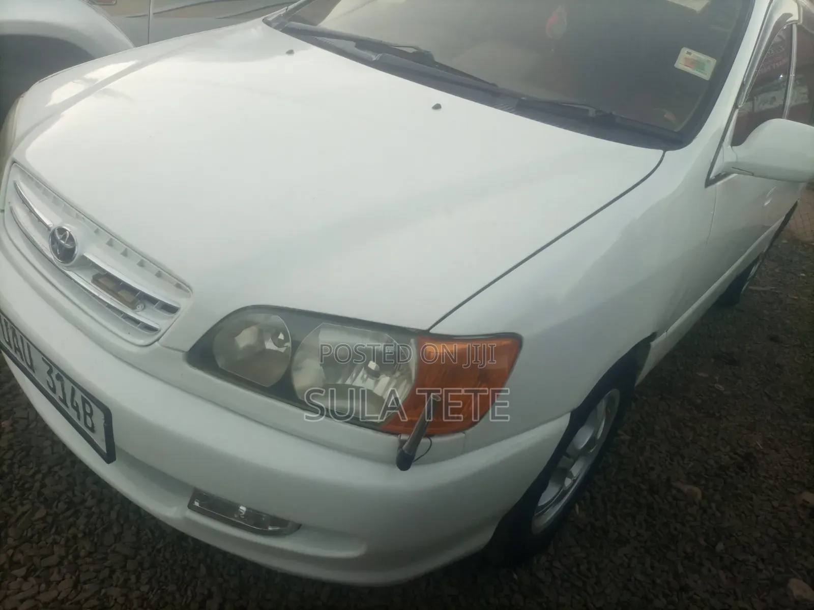 Toyota Ipsum 1998 White