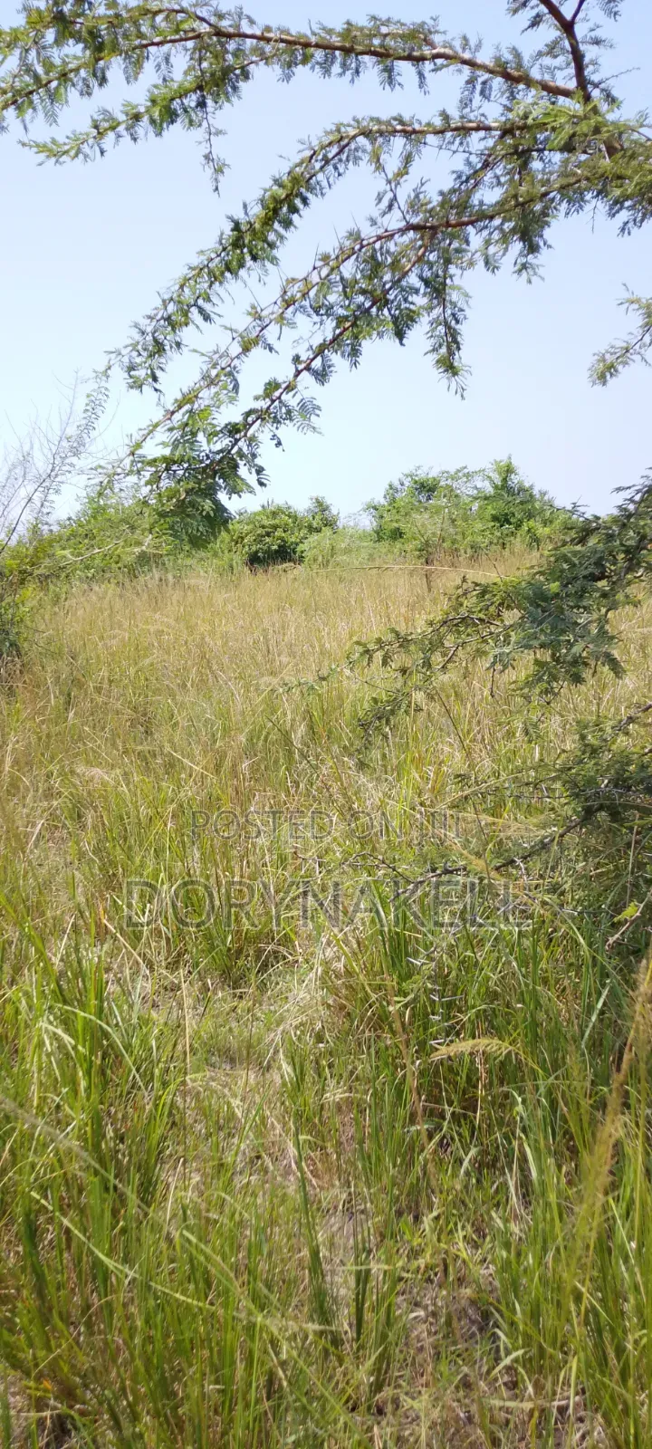 900 Acres of Farmland in Nakasongola at 7m Each