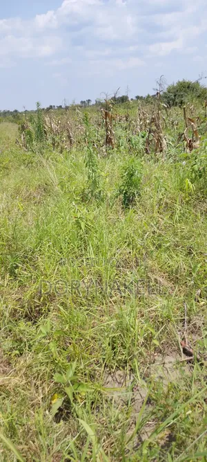 900 Acres of Farmland in Nakasongola at 7m Each