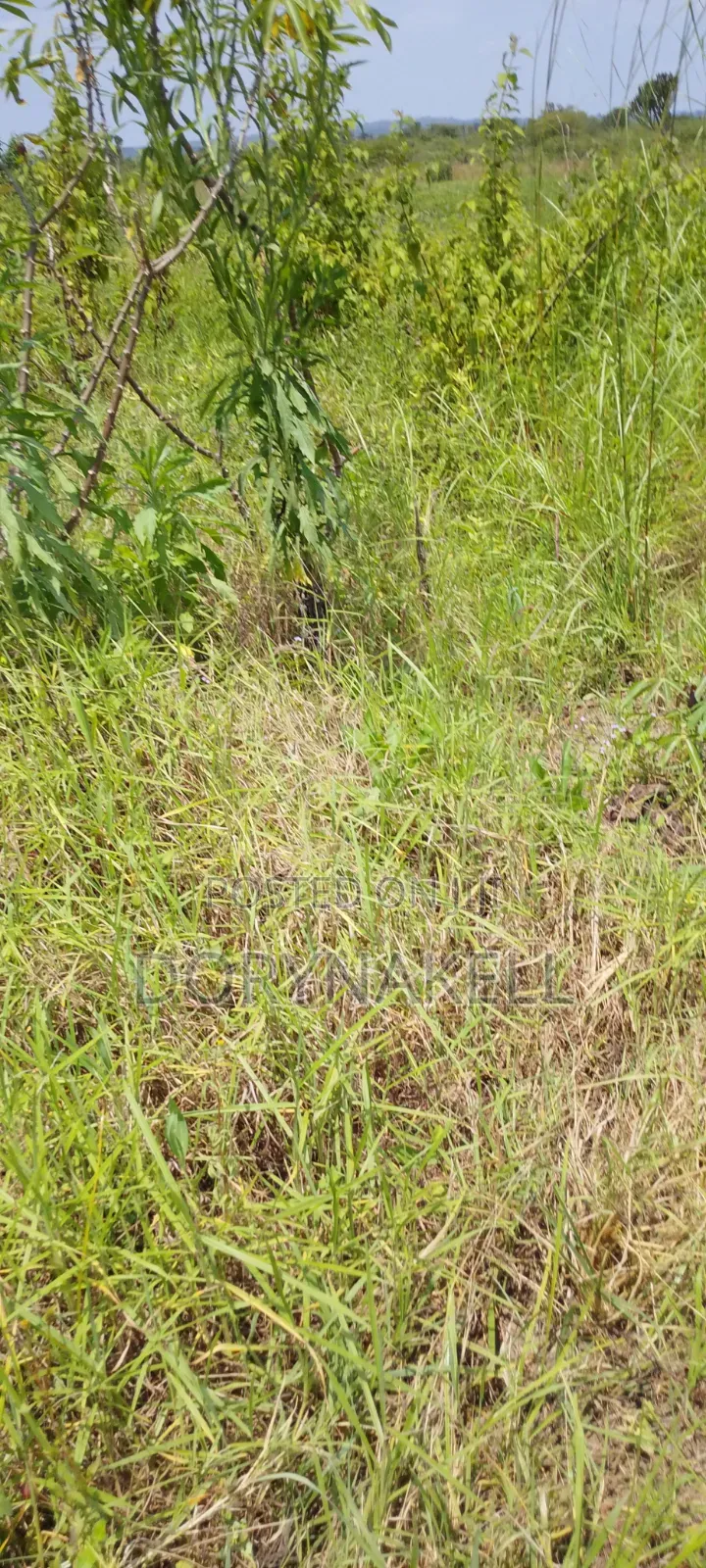 900 Acres of Farmland in Nakasongola at 7m Each