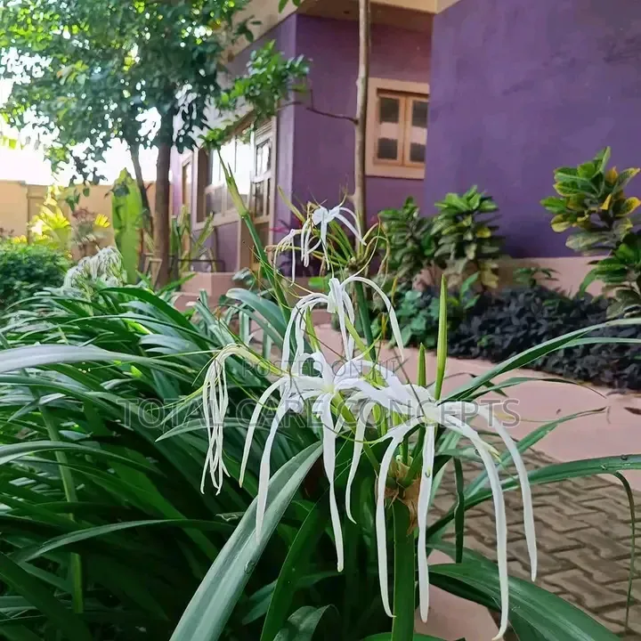 Best Gardeners and Flowerists for Modern Compound Designs