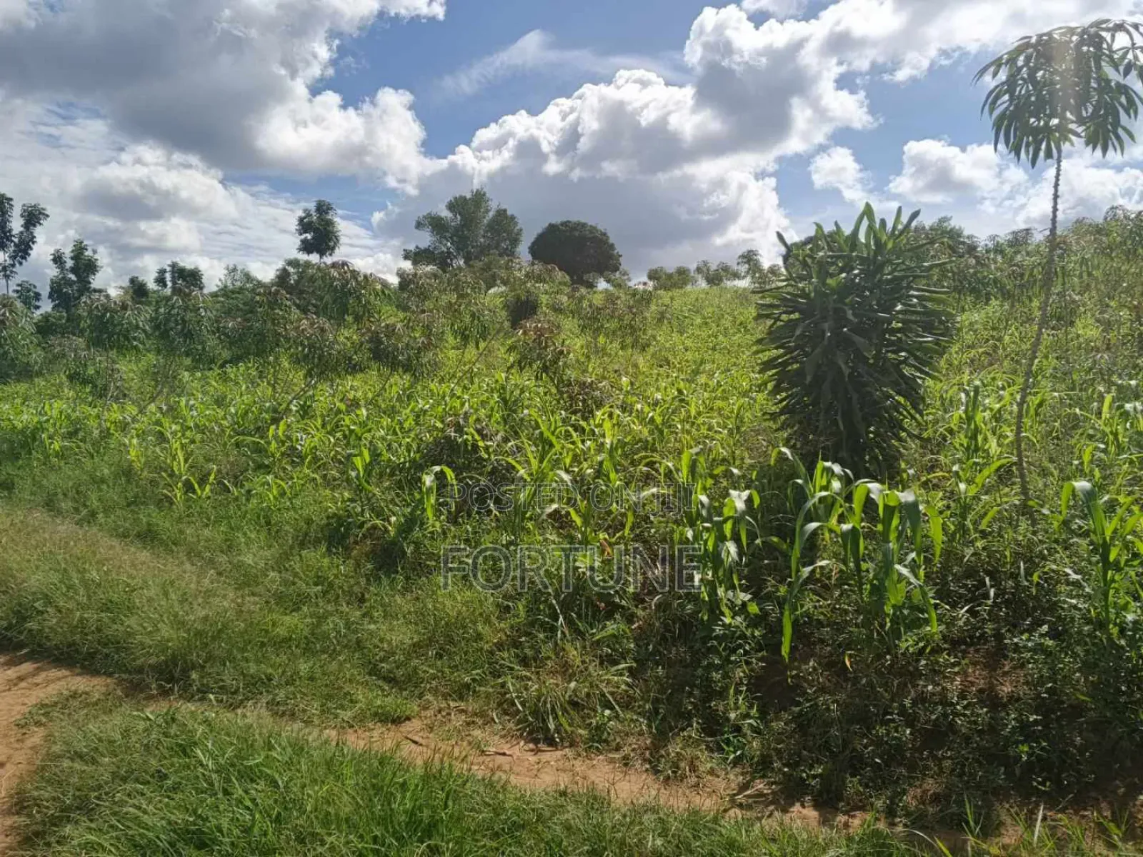 Brick Project Land