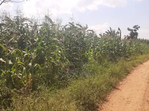 Agriculture Project