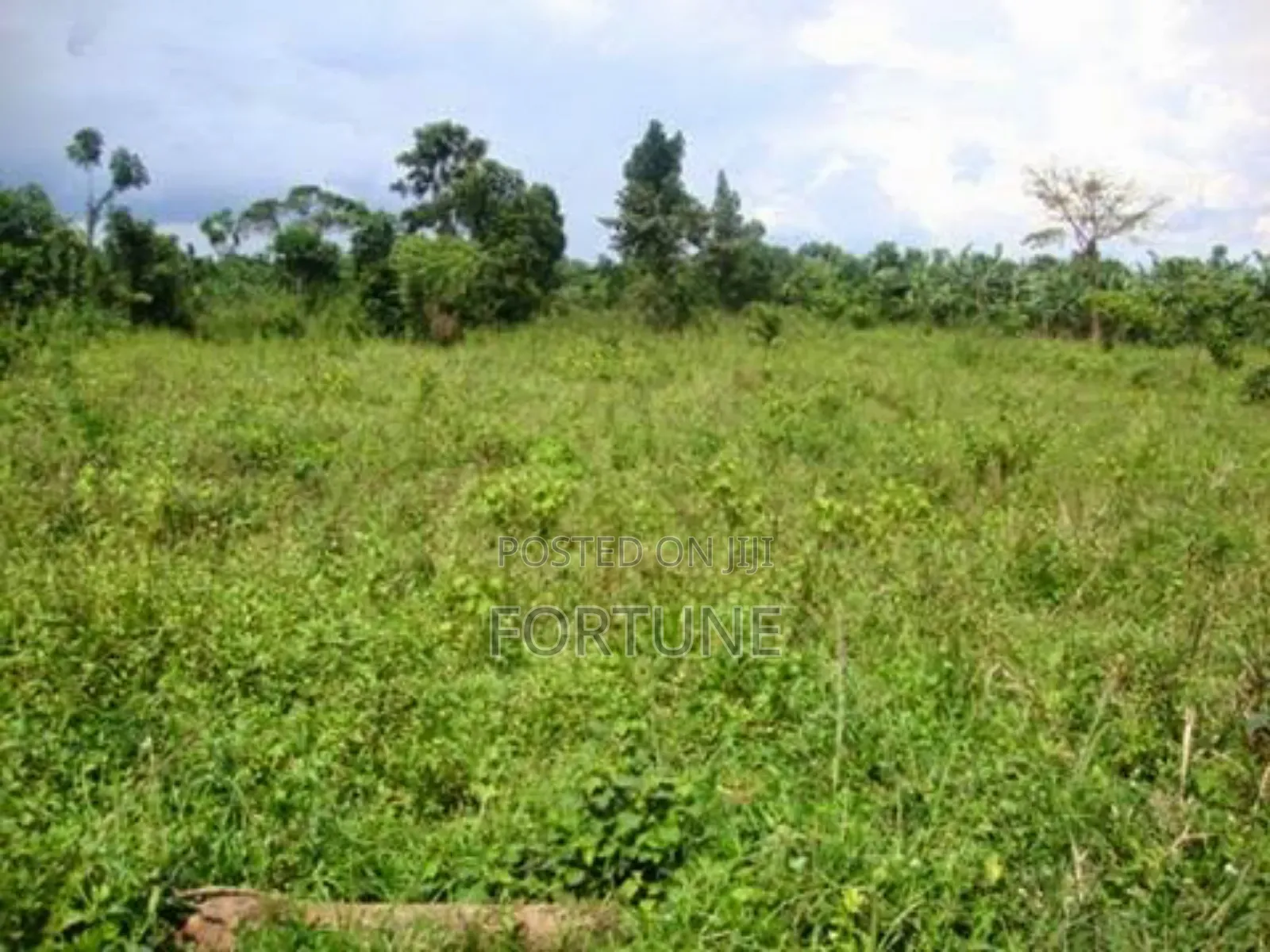 Land for Farming