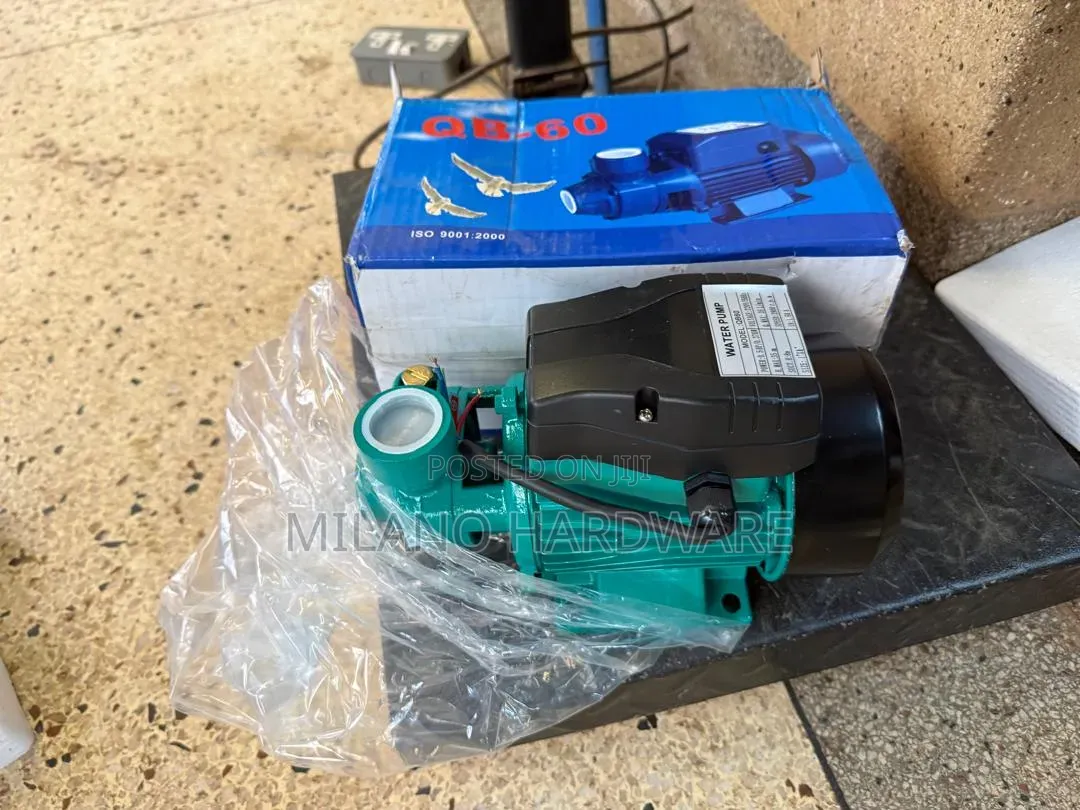 Electric Surface Water Pump