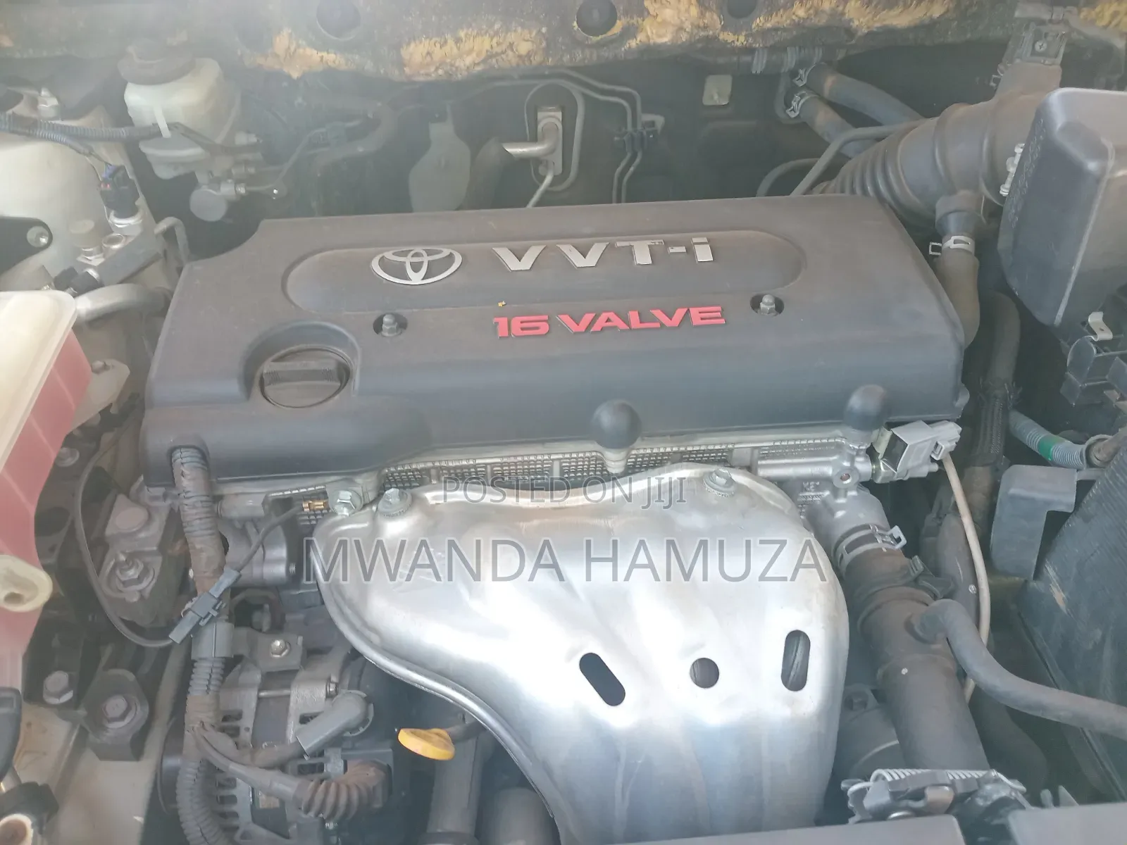 Toyota Vanguard 2010 White