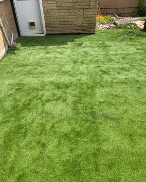 Home Grass Per Squaremeter