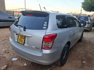 Toyota Corolla Fielder 2010 Silver