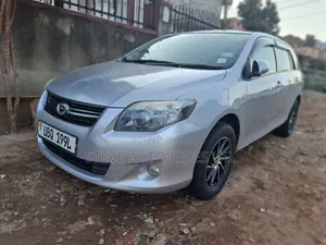 Toyota Corolla Fielder 2010 Silver