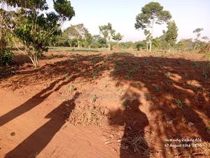 2bdrm House in Ku Piida, Butuntumula for sale