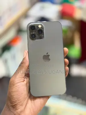 Apple iPhone 12 Pro Max 256 GB Gray
