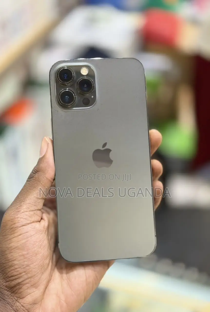 Apple iPhone 12 Pro Max 256 GB Gray