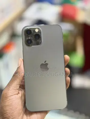 Apple iPhone 12 Pro Max 256 GB Gray