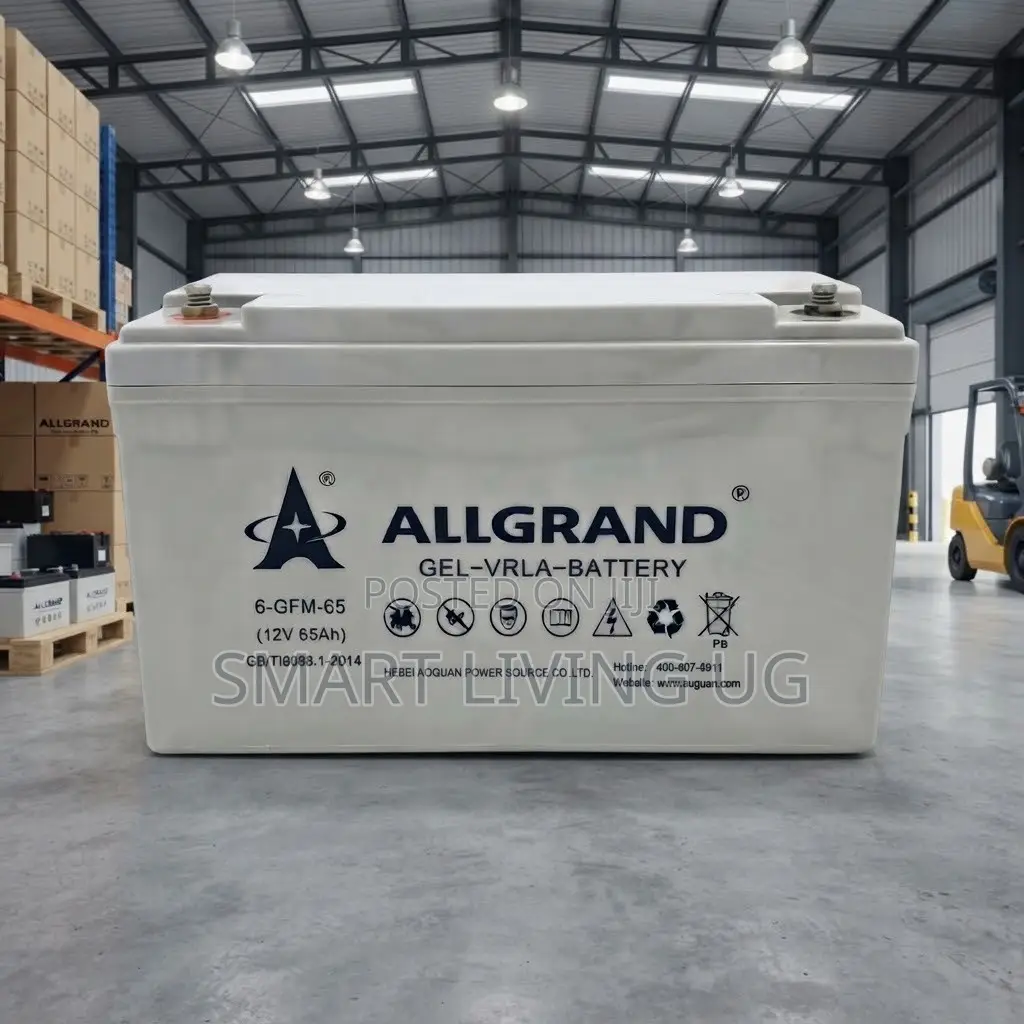 Reliable Energy Storage: Allgrand 12V 65Ah Deep Cycle Gel Battery