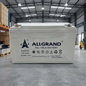 Reliable Energy Storage: Allgrand 12V 65Ah Deep Cycle Gel Battery