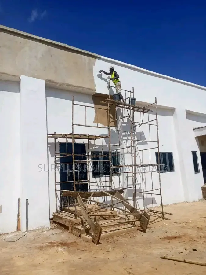 Surplus Painting Services