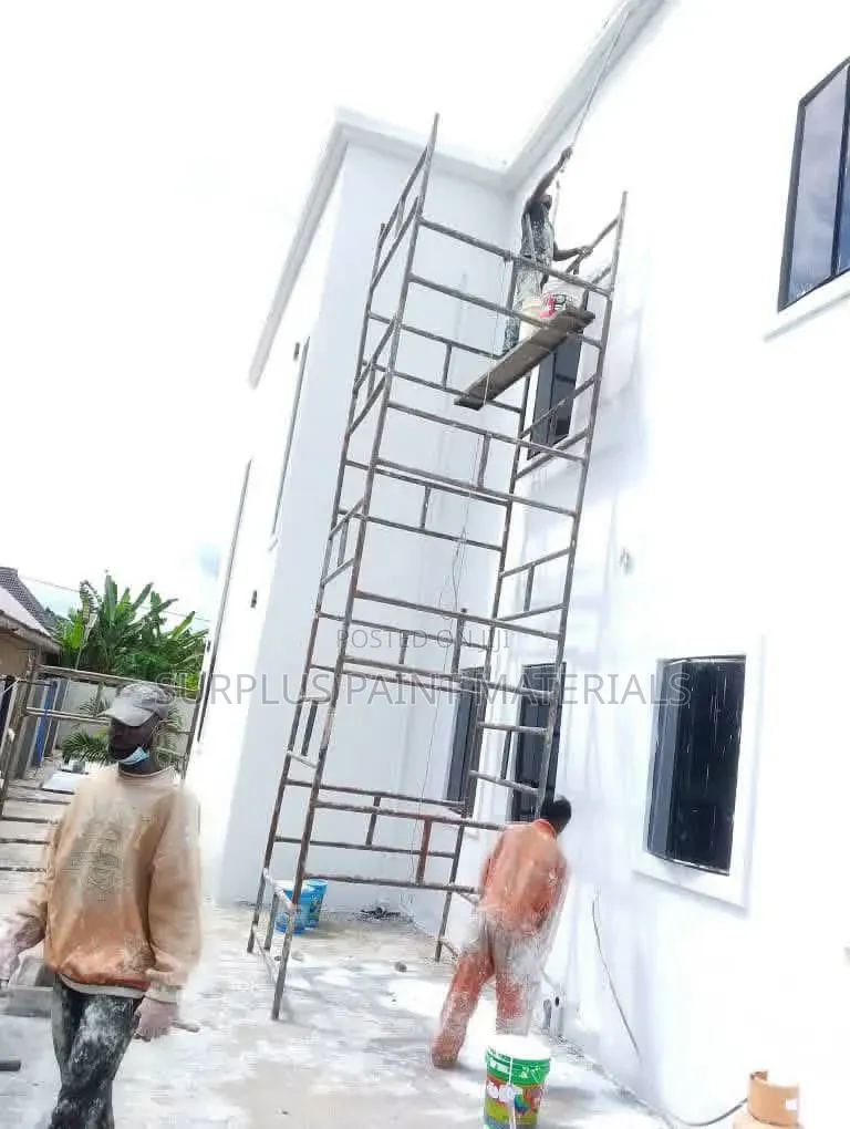 Surplus Painting Services